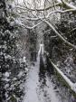 Image: Footpath Snow, Hoby